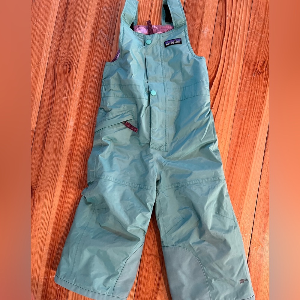 Patagonia Kids Teal Snow Bib Overalls